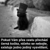 Černá kočka...?