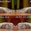 Plán na dnešní den