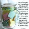 ROK JEDNA !!!