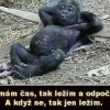 Přeju a upřímně závidííím....hihih