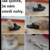 ZVĚDAVOST se nevyplácí...